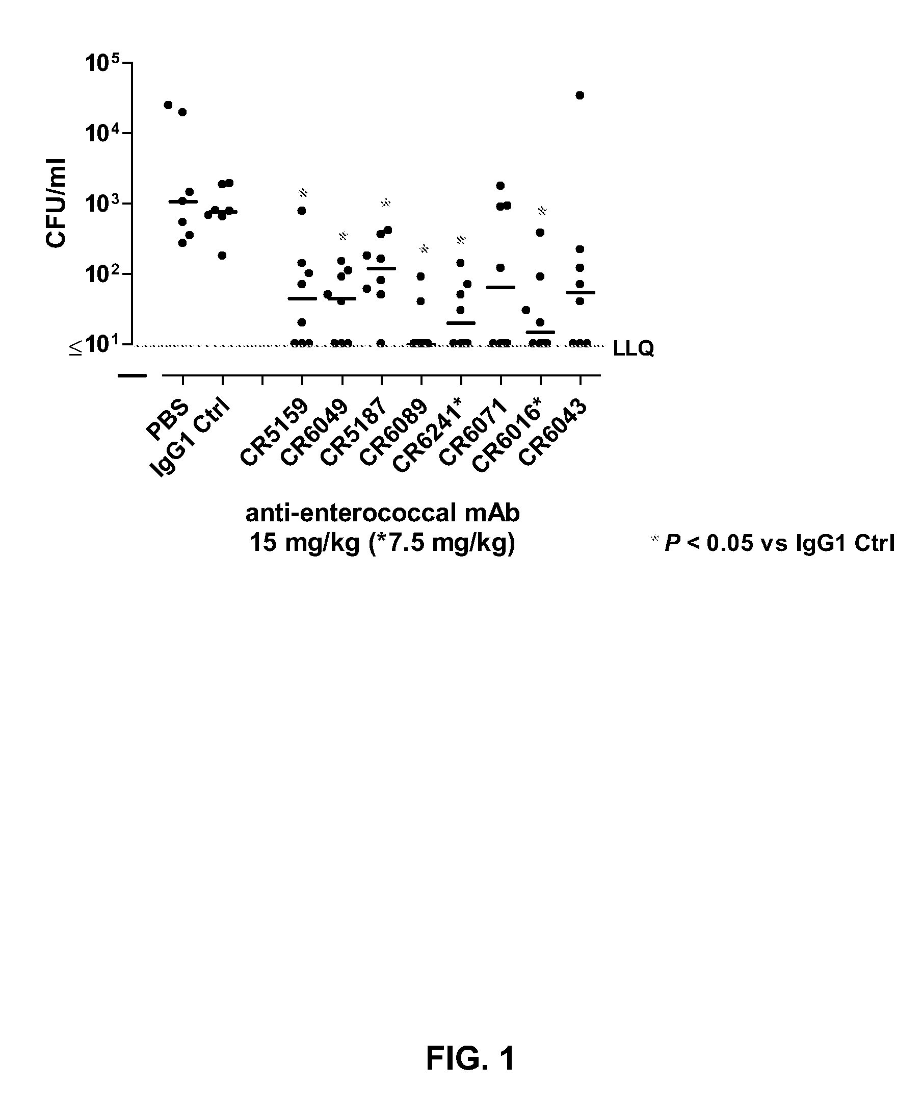 Human binding molecules having killing activity against enterococci and uses thereof