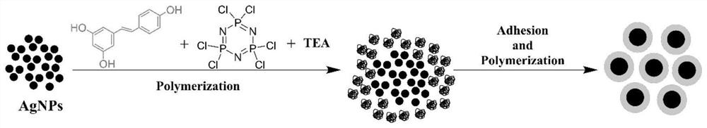 Silver-loaded polyphosphazene microsphere with mesoporous core-shell structure as well as preparation method and application of silver-loaded polyphosphazene microsphere