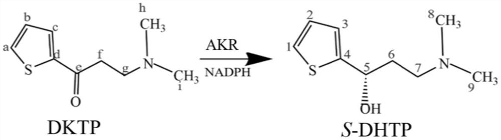 Method for preparing chiral duloxetine intermediate by aldehyde ketone reductase and asymmetric reduction