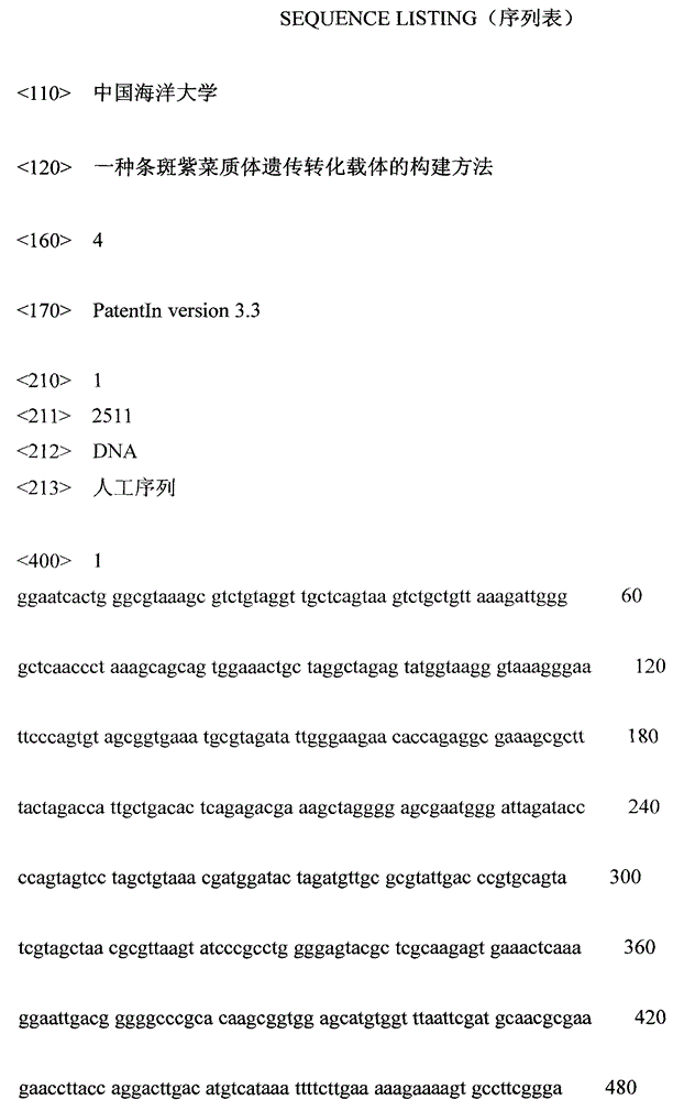 A method for constructing plastid genetic transformation vector of Porphyra zebra