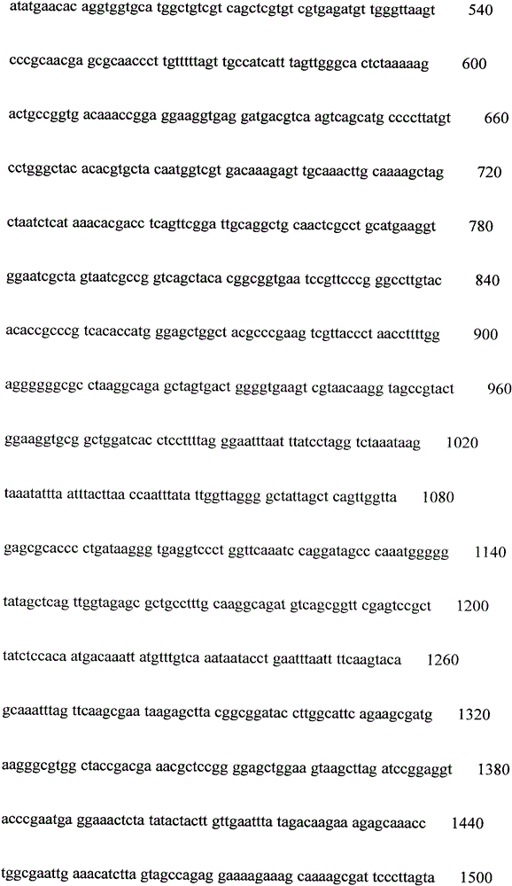 A method for constructing plastid genetic transformation vector of Porphyra zebra