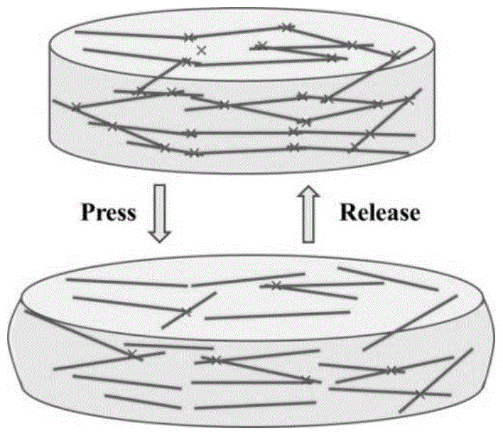 Preparation method of cellulose-based flexible stress-strain sensitive material