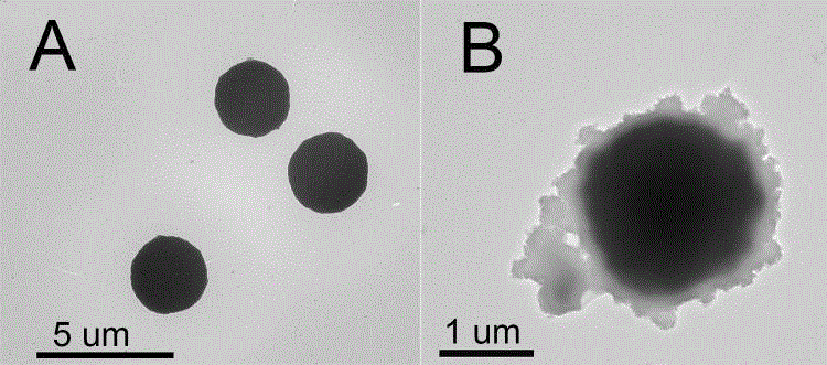 Preparation method of covalent organic framework composite microspheres with core-shell structures