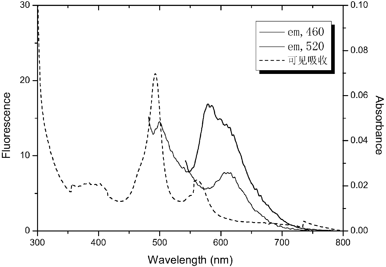 Method for preparing cyanobacterial phytochrome fluorescent marker with orange-red fluorescence