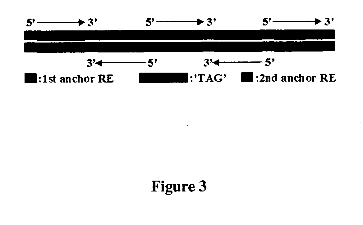 Methods and compositions relating to 5'-chimeric ribonucleic acids