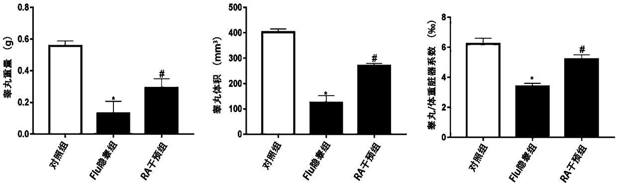 Application of retinoic acid in preparation of drugs for improving prognosis of cryptorchidism