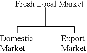 Composition for preserving fresh cut flowers, fresh fruits and vegetables without the use of refrigeration