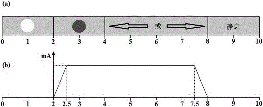 Novel brain-computer interface method and system based on steady-state somatosensory evoked potential