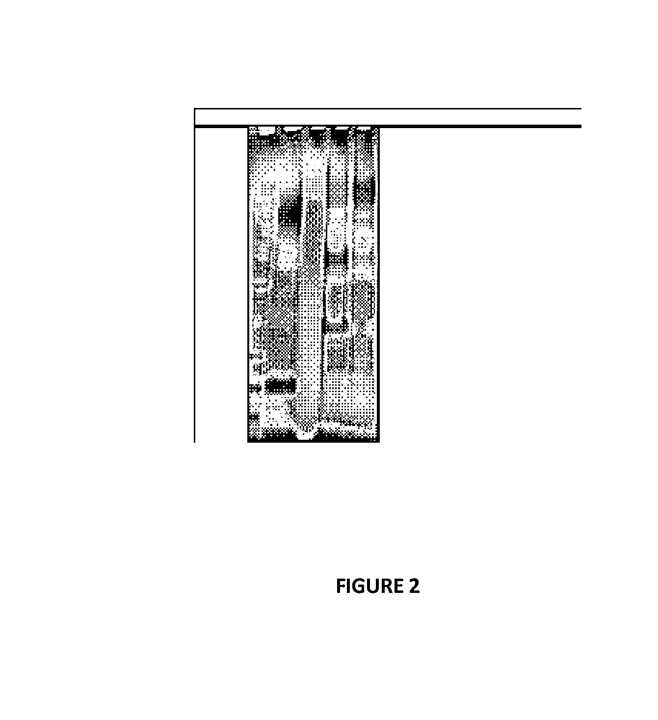 PROCESS FOR PREPARATION OF SECRETORY IgA AND SECRETORY IgM