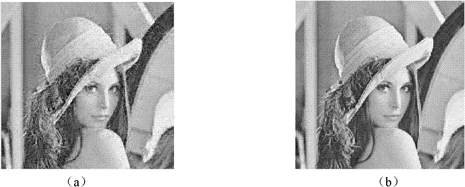 Edge structure information based block compression perception reconstruction method
