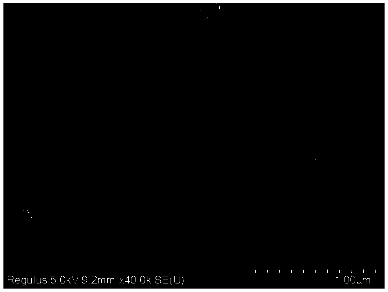 Hydrophobic paper surface-enhanced Raman substrate and application thereof