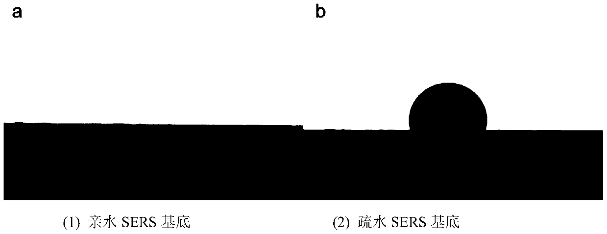 Hydrophobic paper surface-enhanced Raman substrate and application thereof