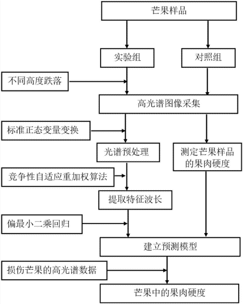 Rigid prediction method of mangoes after impact damage based on hyper-spectrum