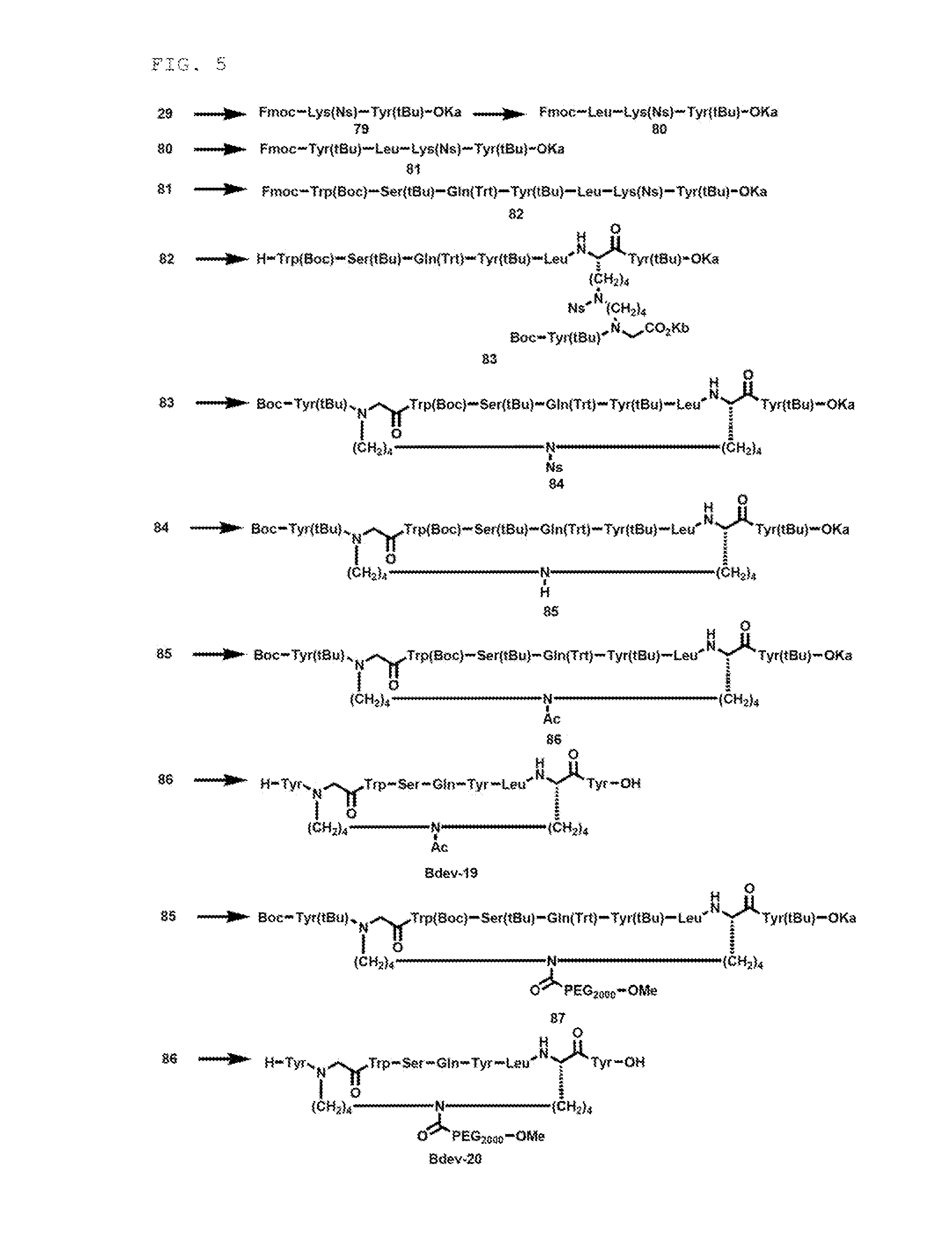 Novel cross-linked peptides containing non-peptide cross-linked structure, method for synthesizing cross-linked peptides, and novel organic compound used in method