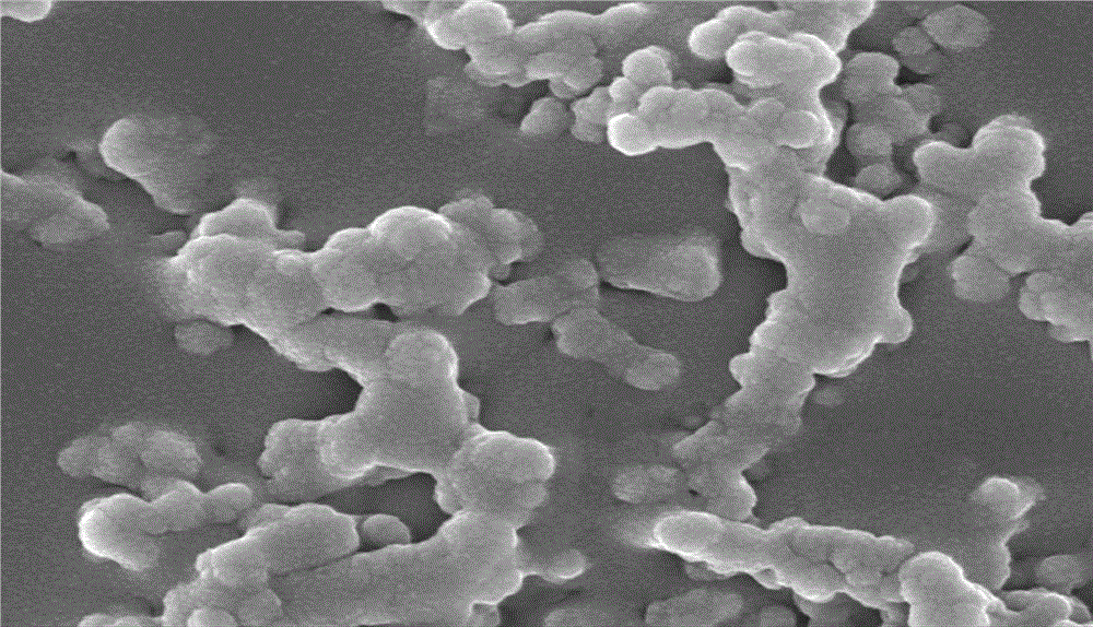 Edible nano-peanut protein composite film and preparation process thereof