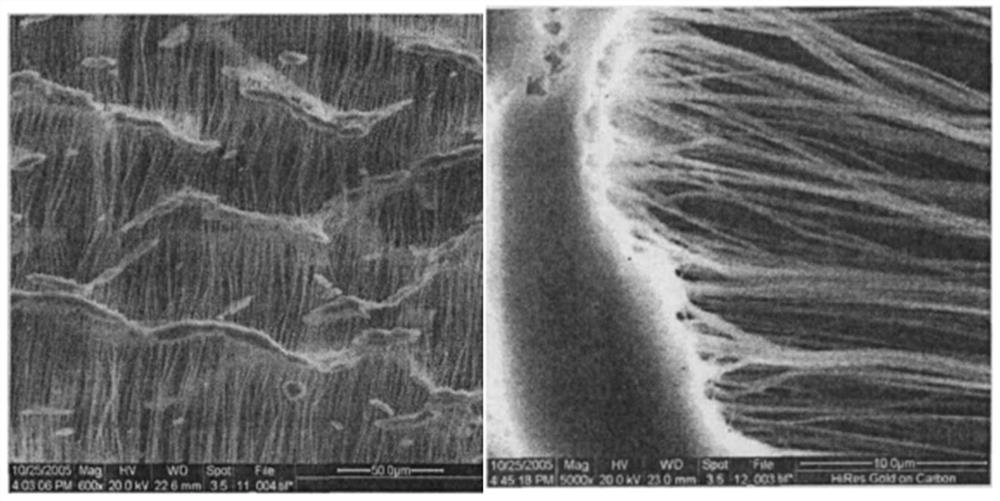 Preparation of a polytetrafluoroethylene hollow fiber membrane, membrane, membrane contactor and application