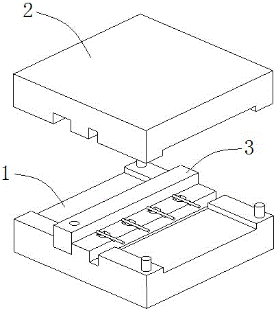 Manufacture method for earphone wires