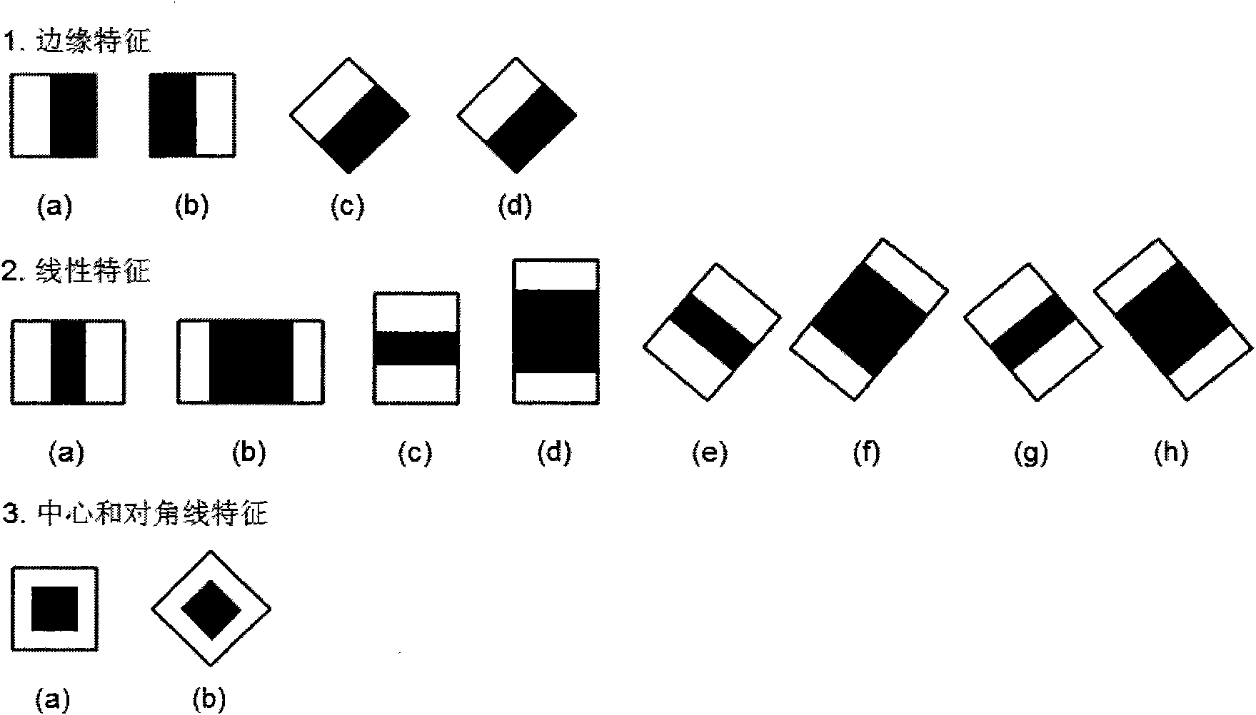 Human eye recognition system and method