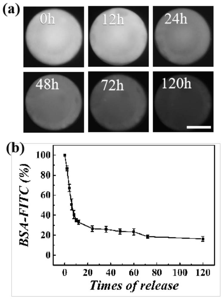 Preparation method and application of activating antibody-modified photonic crystal hydrogel hybrid drug-loaded microspheres