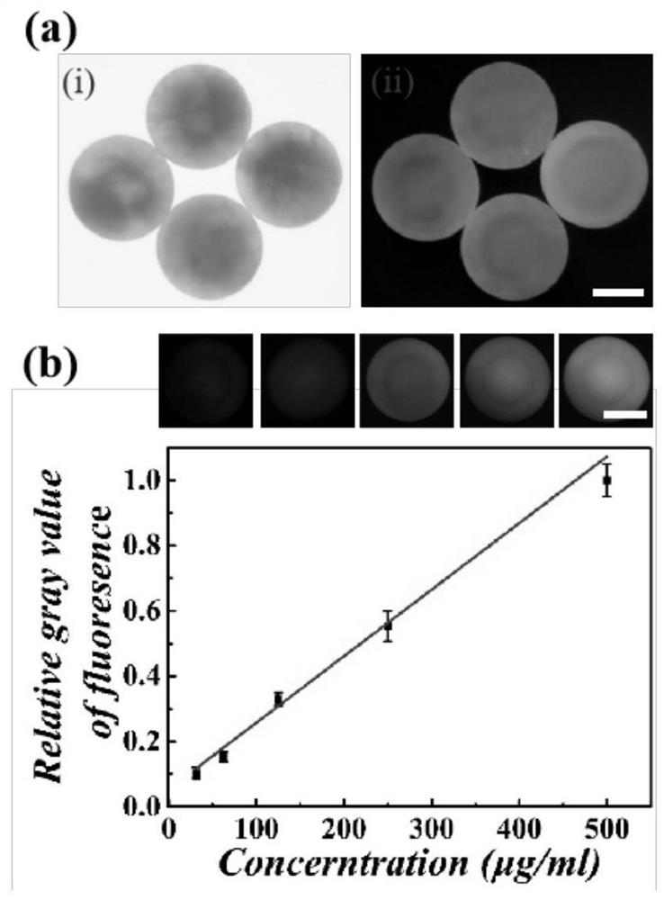 Preparation method and application of activating antibody-modified photonic crystal hydrogel hybrid drug-loaded microspheres