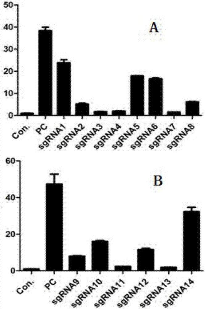 Preparation method and application of humanized gene modified animal model