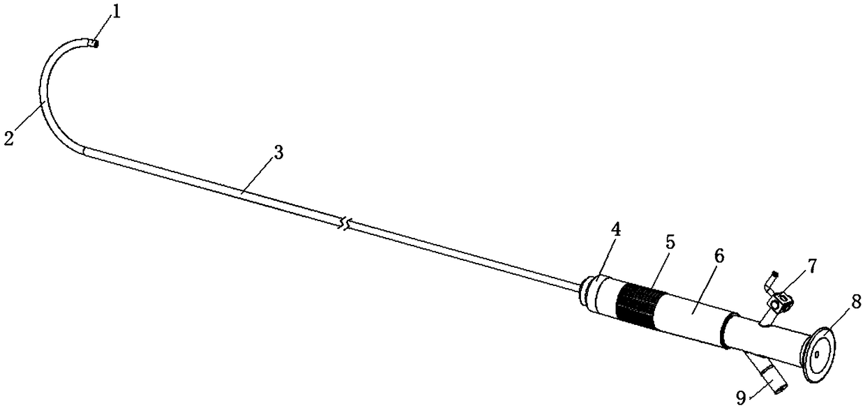 Bidirectional bend-adjusting endoscope