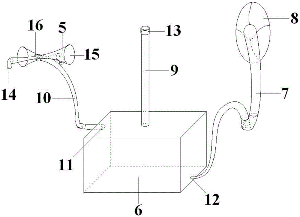 Device and method for breeding plyhachis vicina roger in organic tea garden