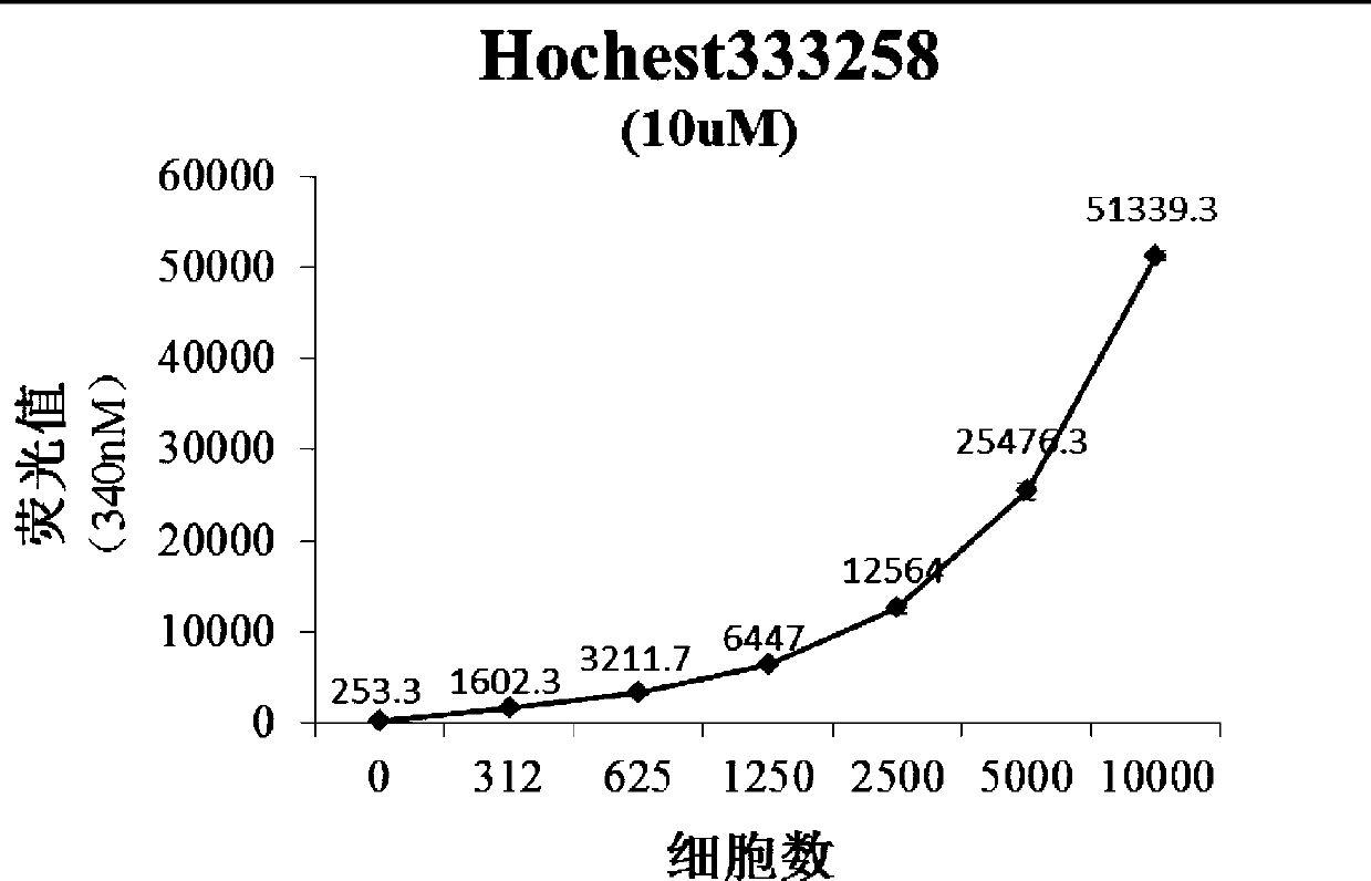 Tumor cell proliferation detection method based on Hochest333258 and application