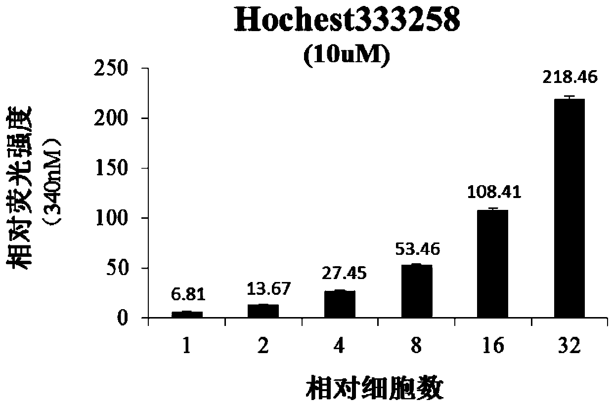 Tumor cell proliferation detection method based on Hochest333258 and application