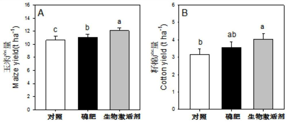 A biological activator for improving soil phosphorus utilization and its preparation method and application