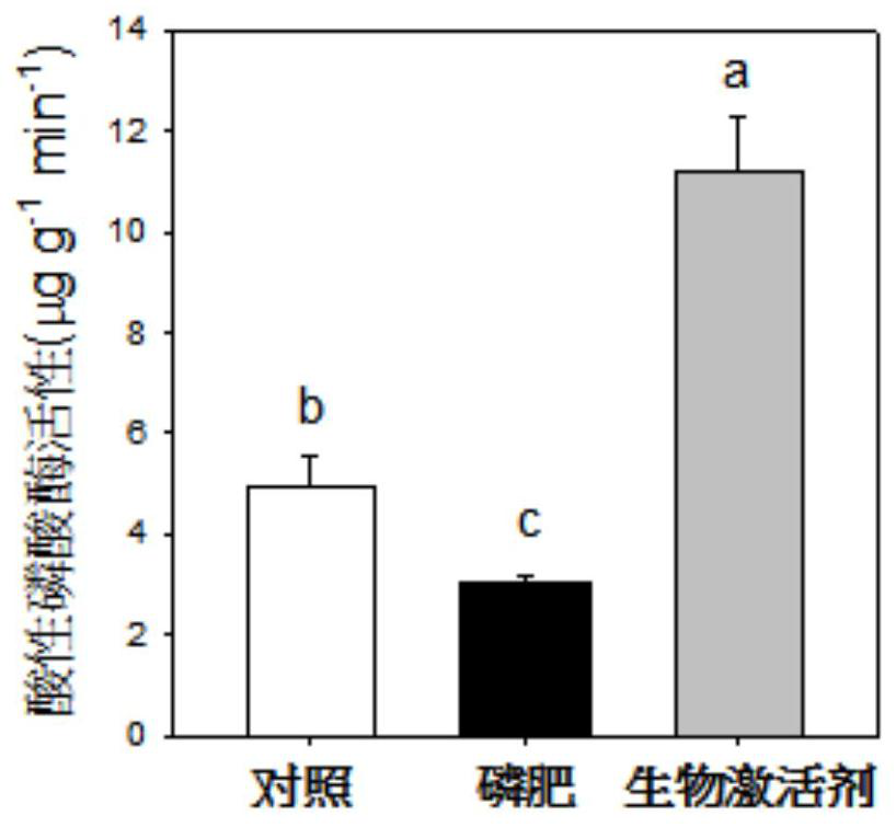 A biological activator for improving soil phosphorus utilization and its preparation method and application