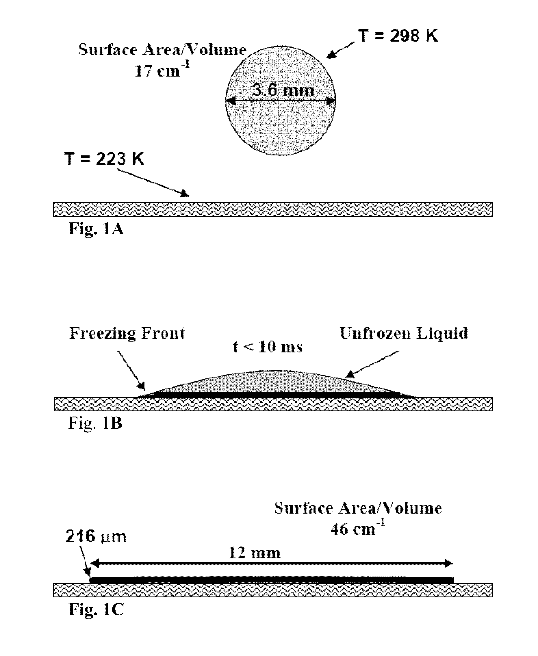 Formation of stable submicron peptide or protein particles by thin film freezing