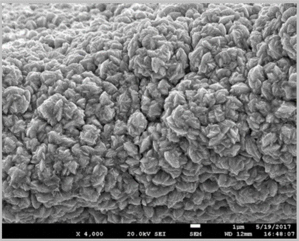 Nano-copper array cathode for reductive degradation of organic pollutants as well as preparation and application thereof