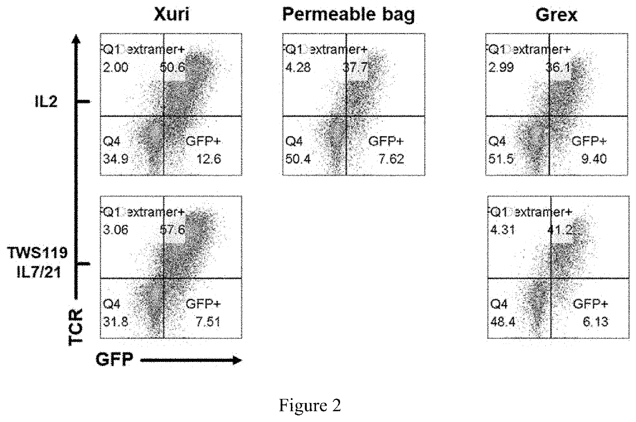 Method for enhancing production of genetically engineered autologous t cells