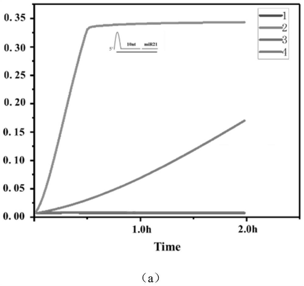 Method for detecting nucleic acid marker RNA virus based on CRISPR/Cas12a system innovative activation mode