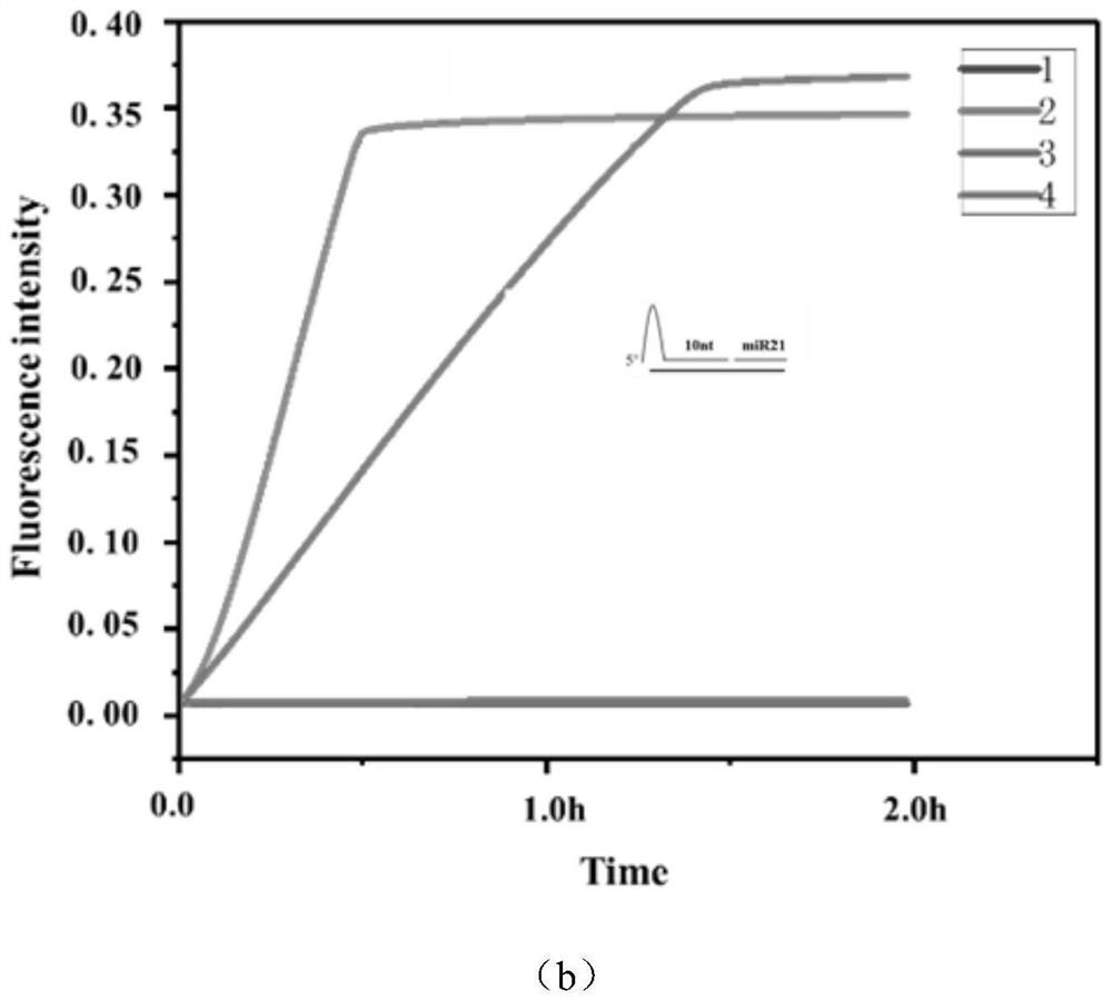 Method for detecting nucleic acid marker RNA virus based on CRISPR/Cas12a system innovative activation mode