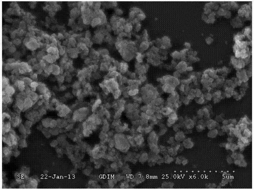 Novel strontium-doped gamma-polyglutamic acid/tricalcium phosphate composite material and preparation method thereof