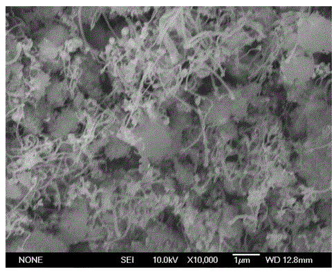 Preparation method of carbon nanotube reinforced hydroxyapatite composite material