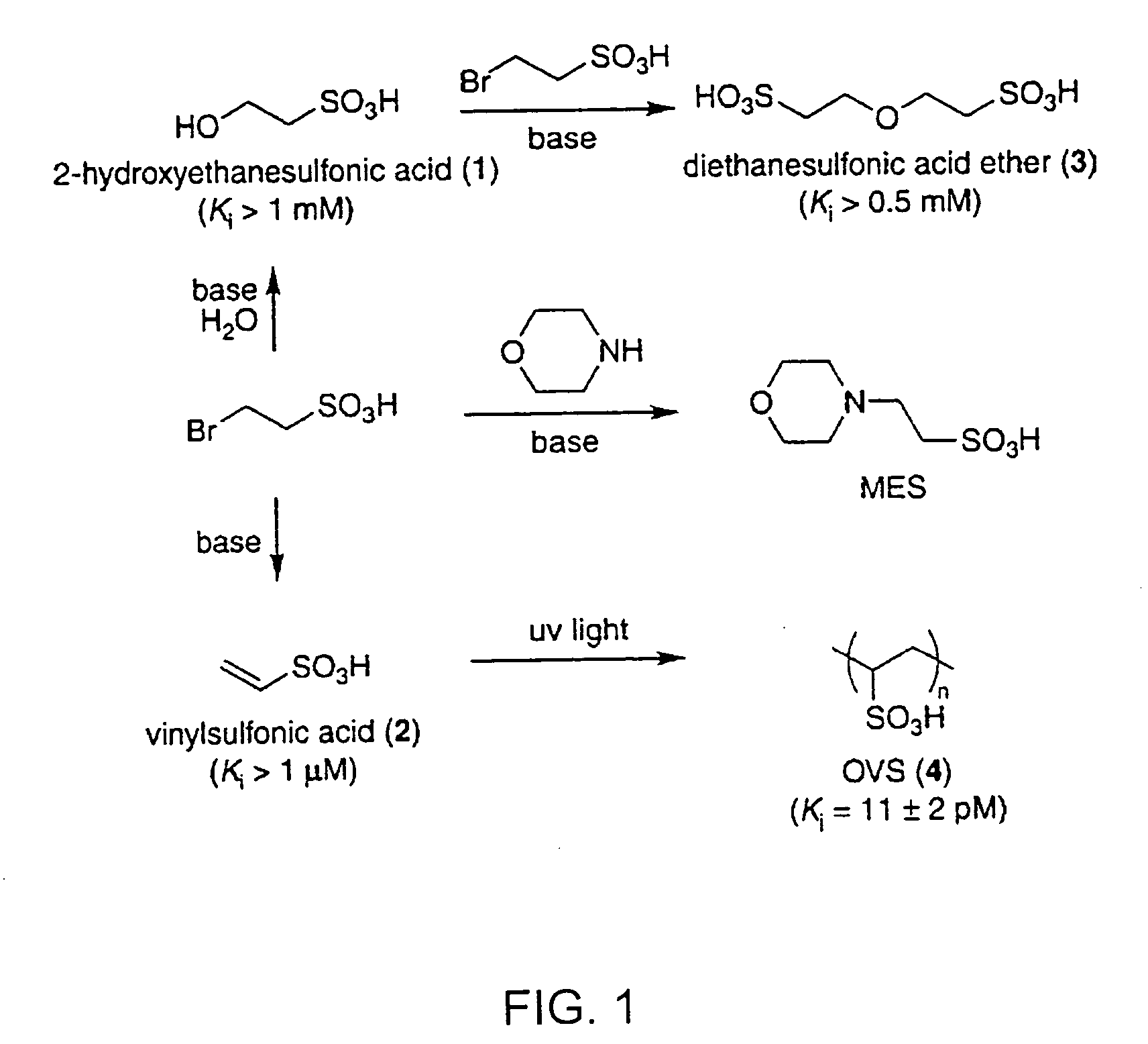 Nuclease inhibitors and methods for their use