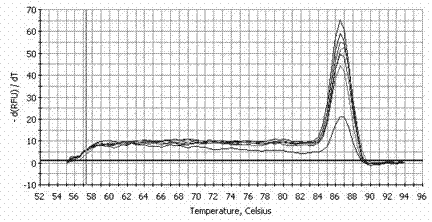 Real-time fluorescence quantification RT-PCR kit for detecting border disease virus and application