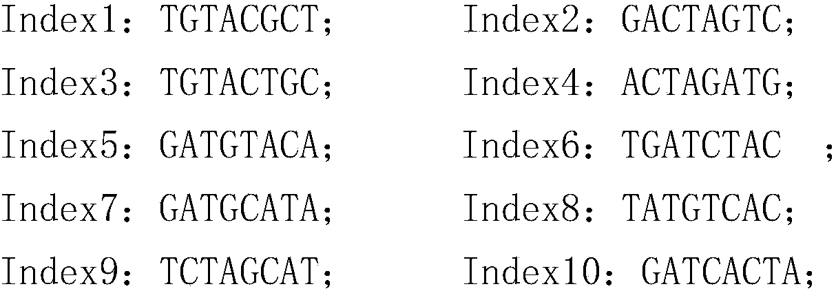 Construction method of 16srRNA multiplex sequencing library