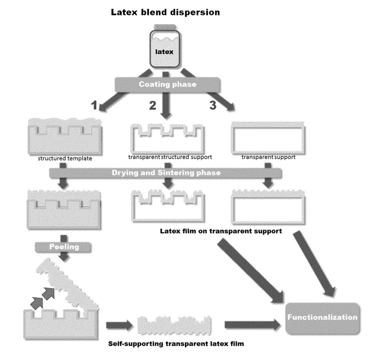 A transparent or semi-transparent nanostructured latex film for flexible and semi-transparent electronics for monitoring and manipulating cellular processes