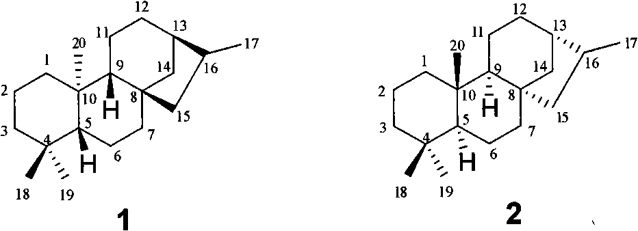 Method for synthesizing novel tetracyclic diterpene compound from stevioside