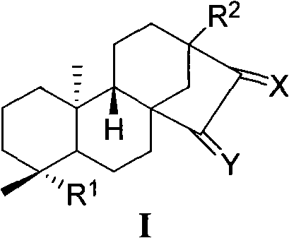 Method for synthesizing novel tetracyclic diterpene compound from stevioside