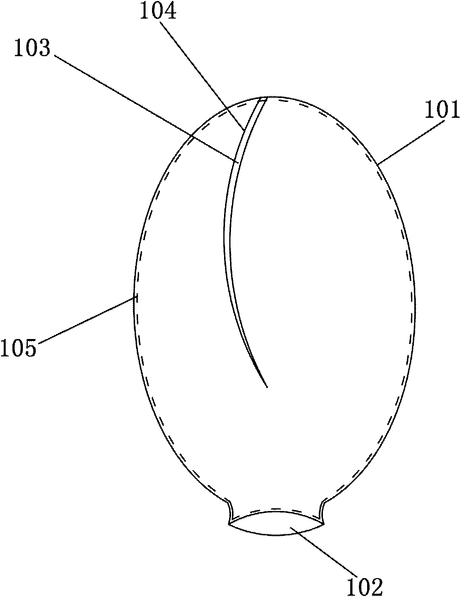 Centrum injection dilator and manufacture method thereof