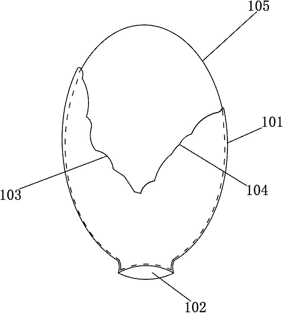 Centrum injection dilator and manufacture method thereof