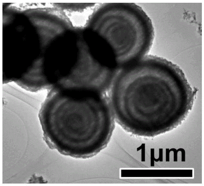 Tin oxide thin film electrode material for dye-sensitized solar cells and preparation method thereof