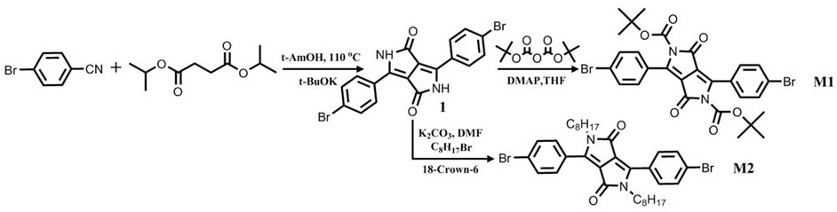 Fluorescent conjugated polymer containing pyrrolopyrrolidone building block, preparation method and application