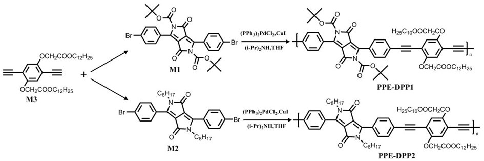 Fluorescent conjugated polymer containing pyrrolopyrrolidone building block, preparation method and application