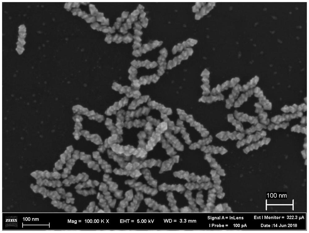 A kind of chiral precious metal nanoparticles and its preparation method and application